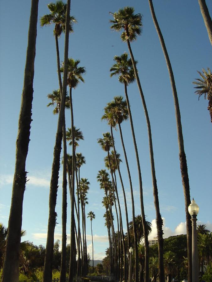 Las Palmas - Modern, Stylish, Spacious, Secure & Tranquil Condo With 2 Master Suite Bedrooms - Wlk To Sm Pier Los Angeles Exteriör bild